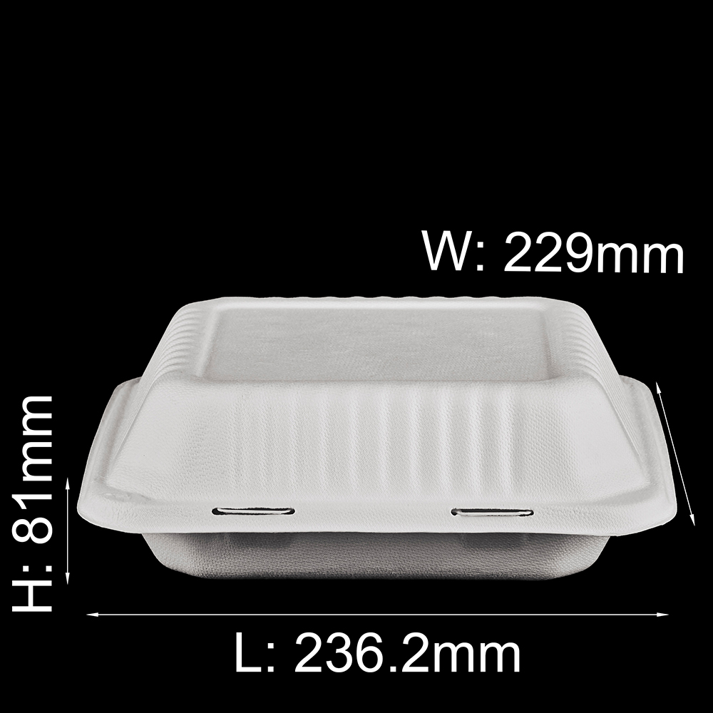bagasse lunch box