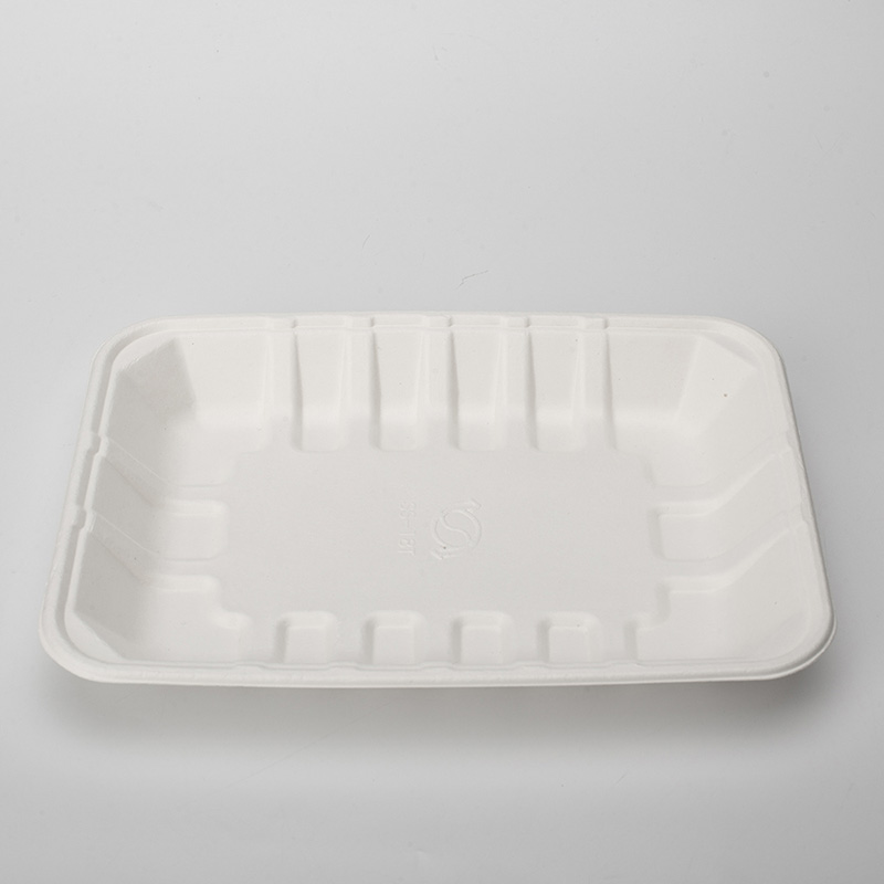 bagasse trays 1