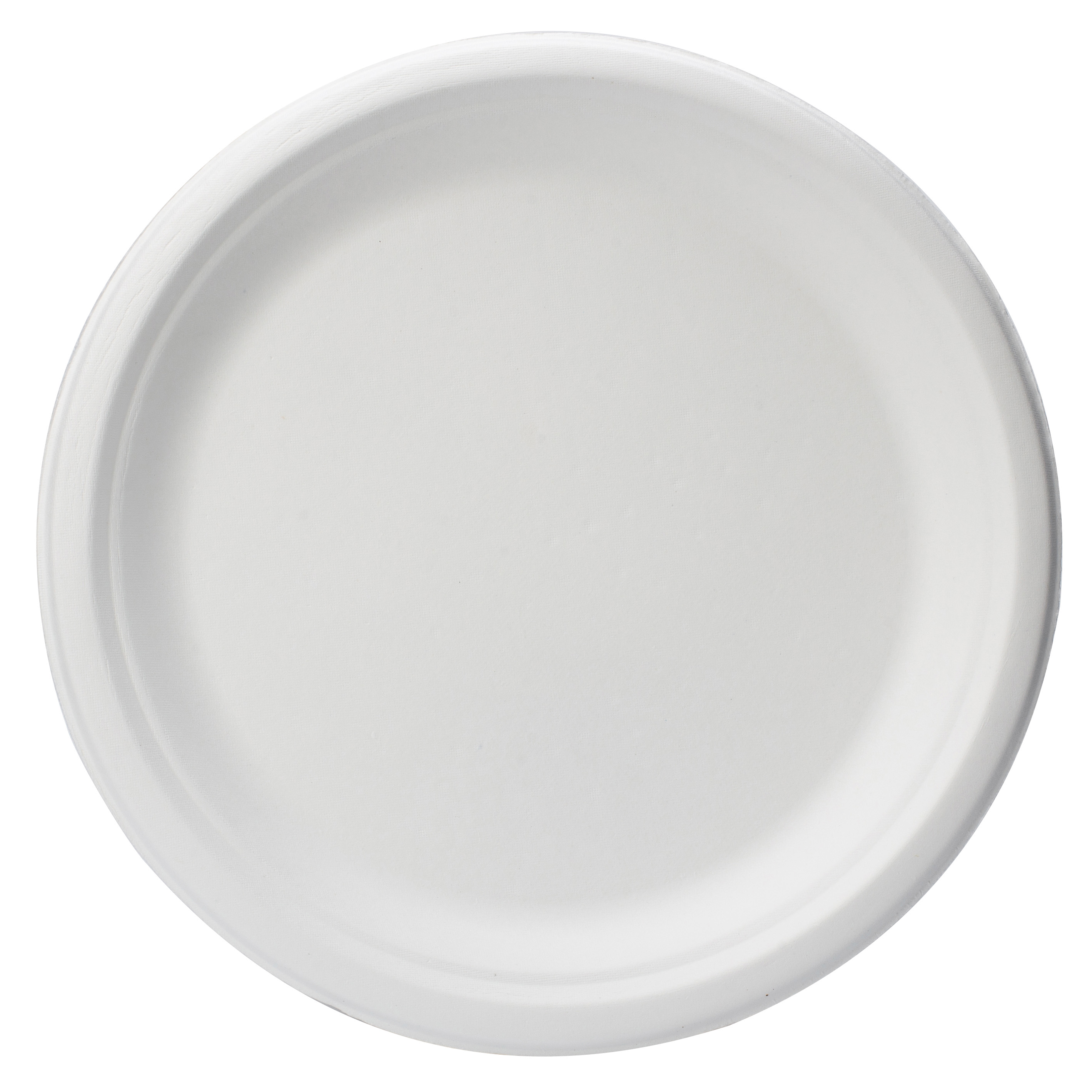 P013 disposable paper plate