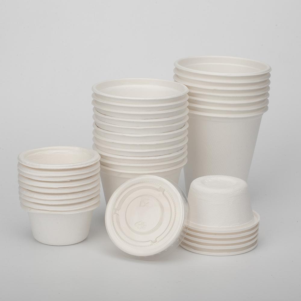 Sugarcane bagasse cups