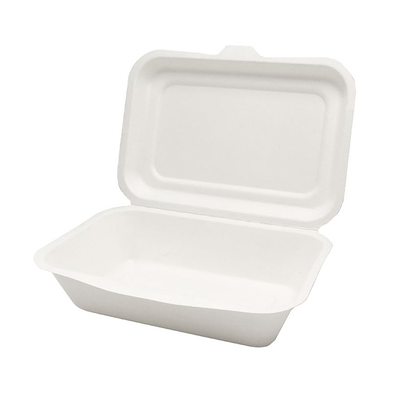 B004 sugarcane bagasse pulp box