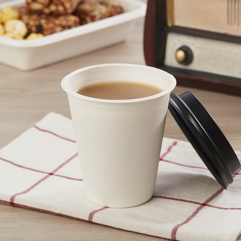 bagasse disposable cup