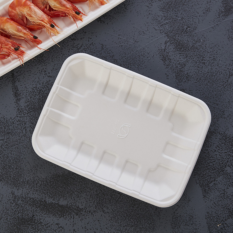 bagasse trays 04