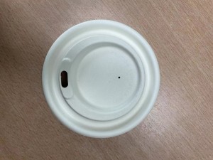 pulp lid -4-2.15