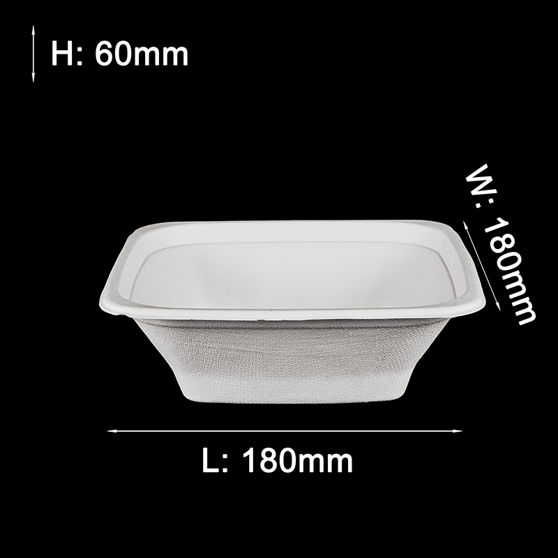 square biodegradable bowl siza L011