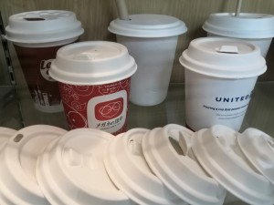 sugarcane bagasse cups with lids
