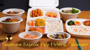 nā mea ʻai papa ʻaina koʻo bagasse pulp molding tableware-0421-封面